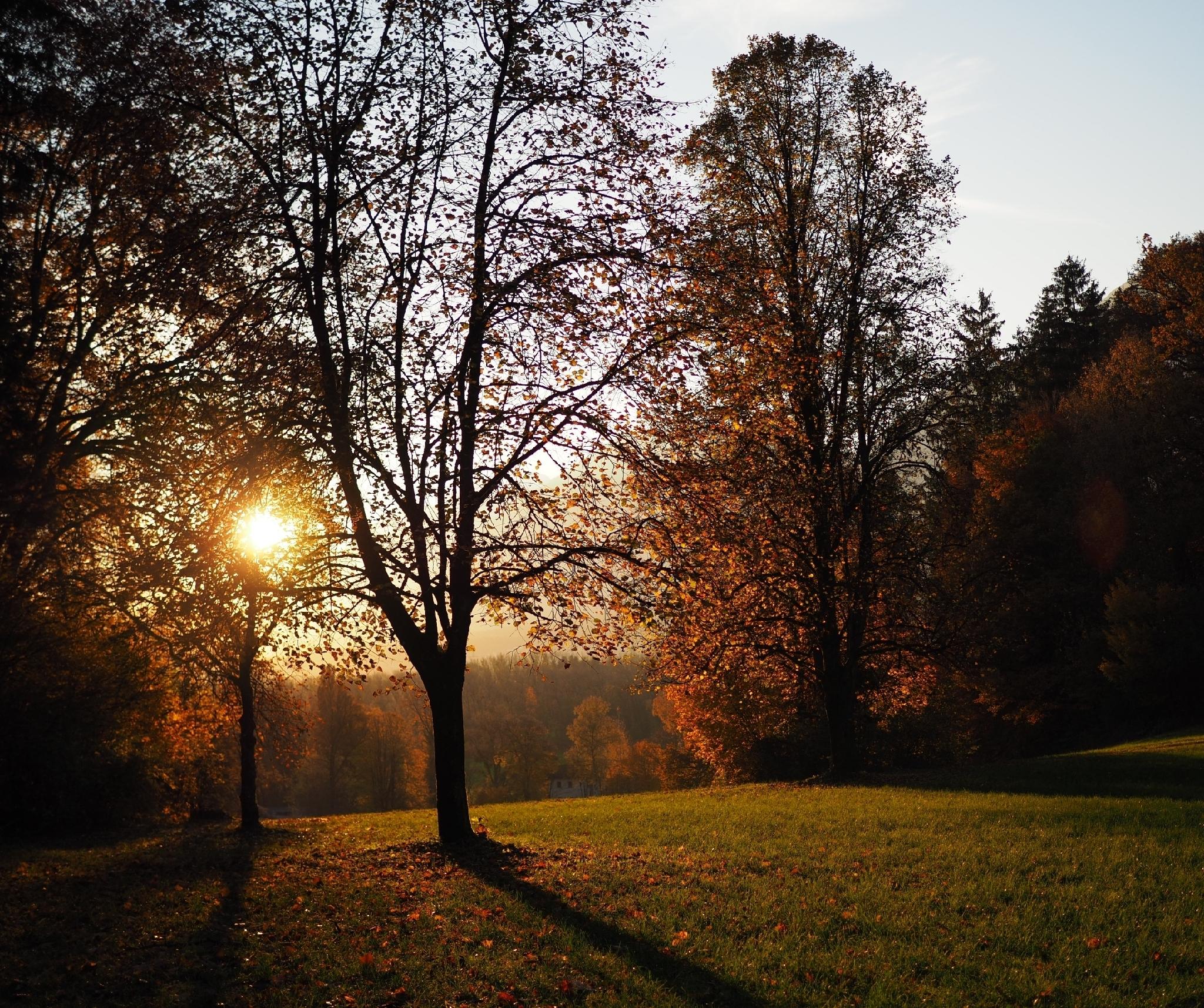 Herbststimmung