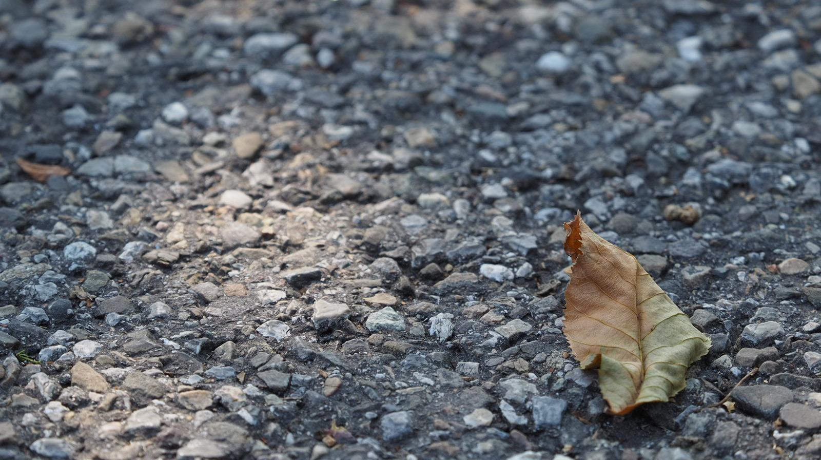 Blatt