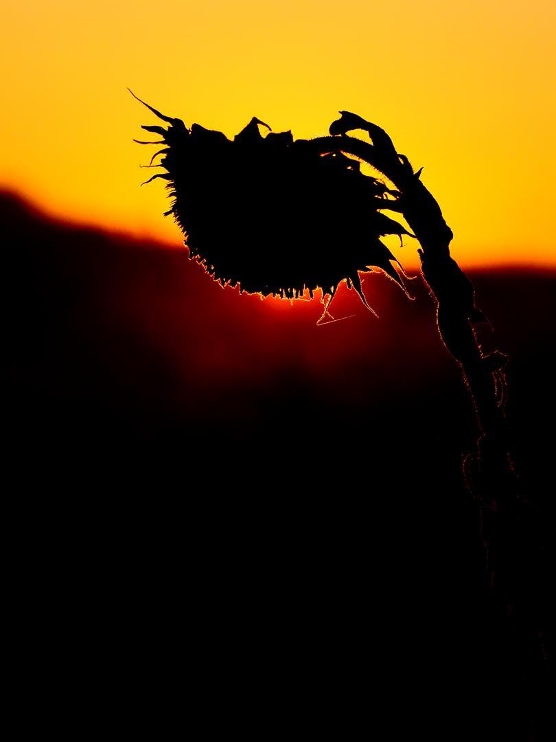 Am Ende des Tages II