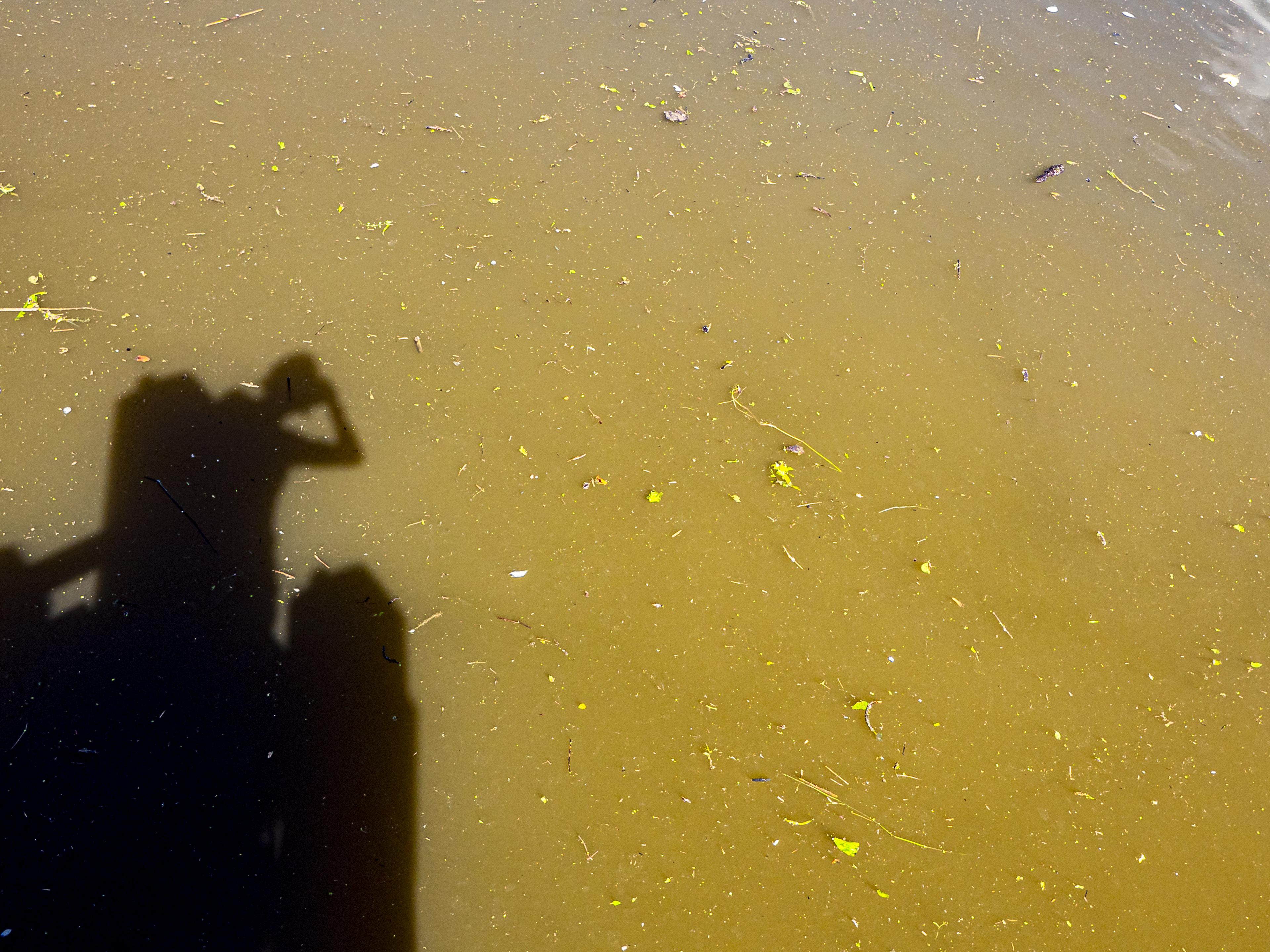 Selfie an der Labe in Nymburk
