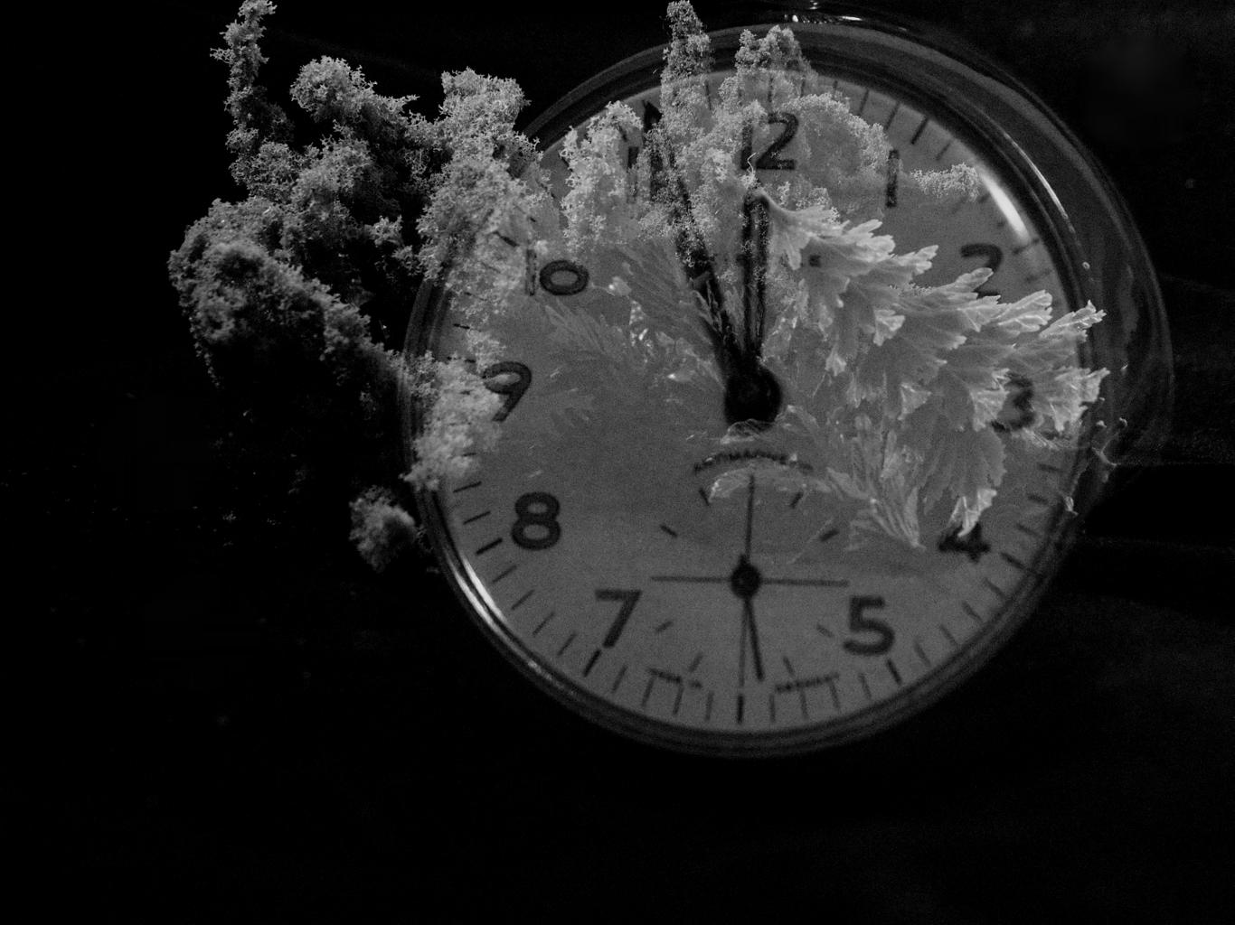 Es ist 5 vor 12 für unseren Wald