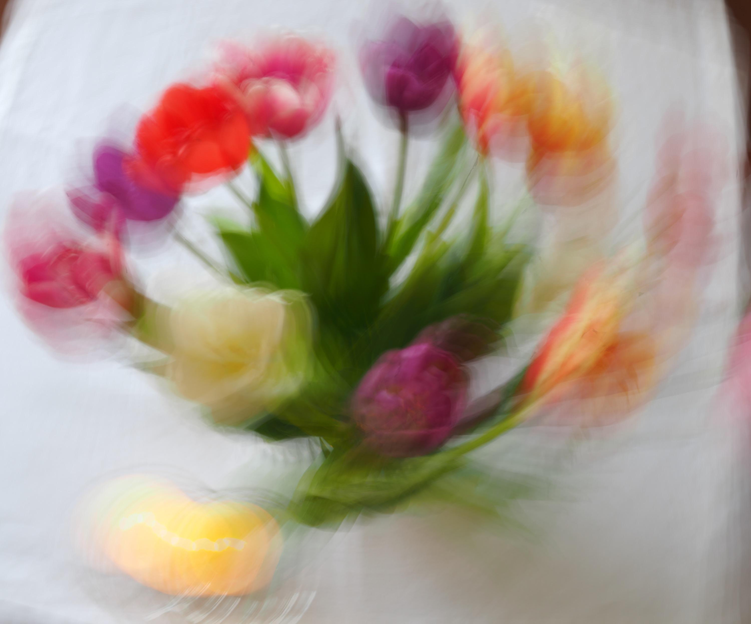 Tulpenvase in Highres gedreht