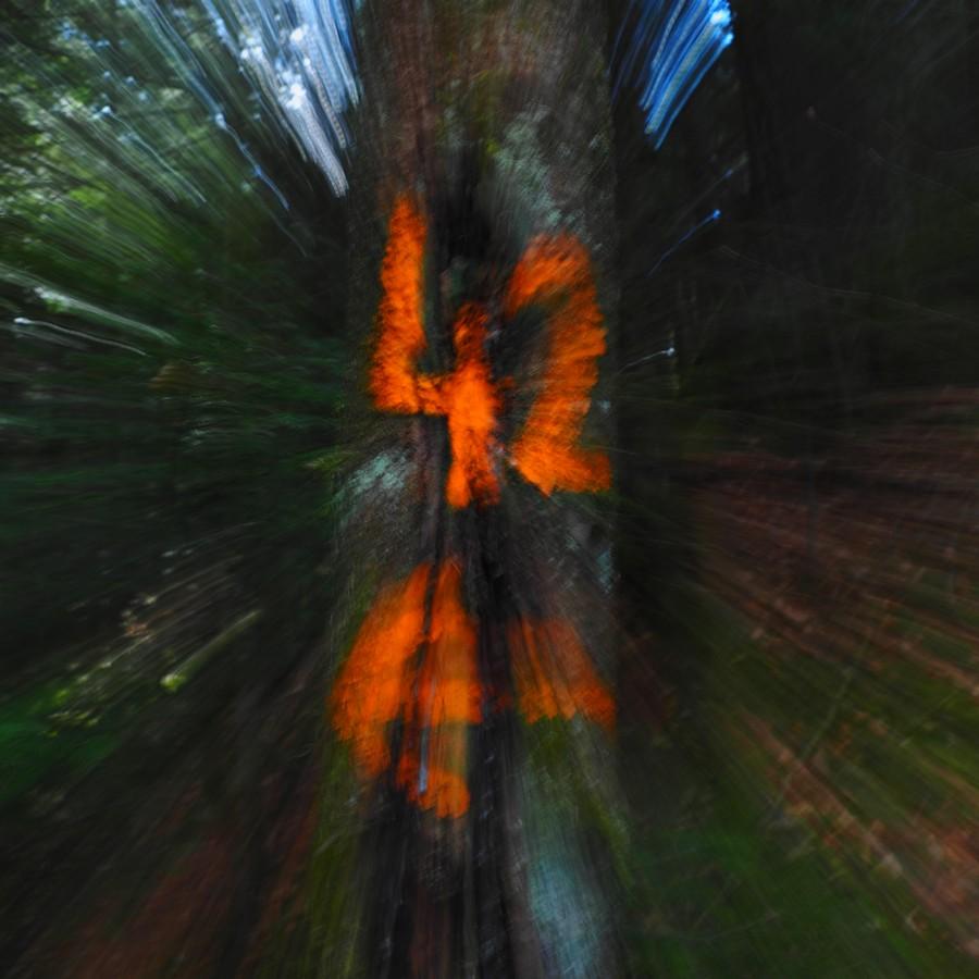 42