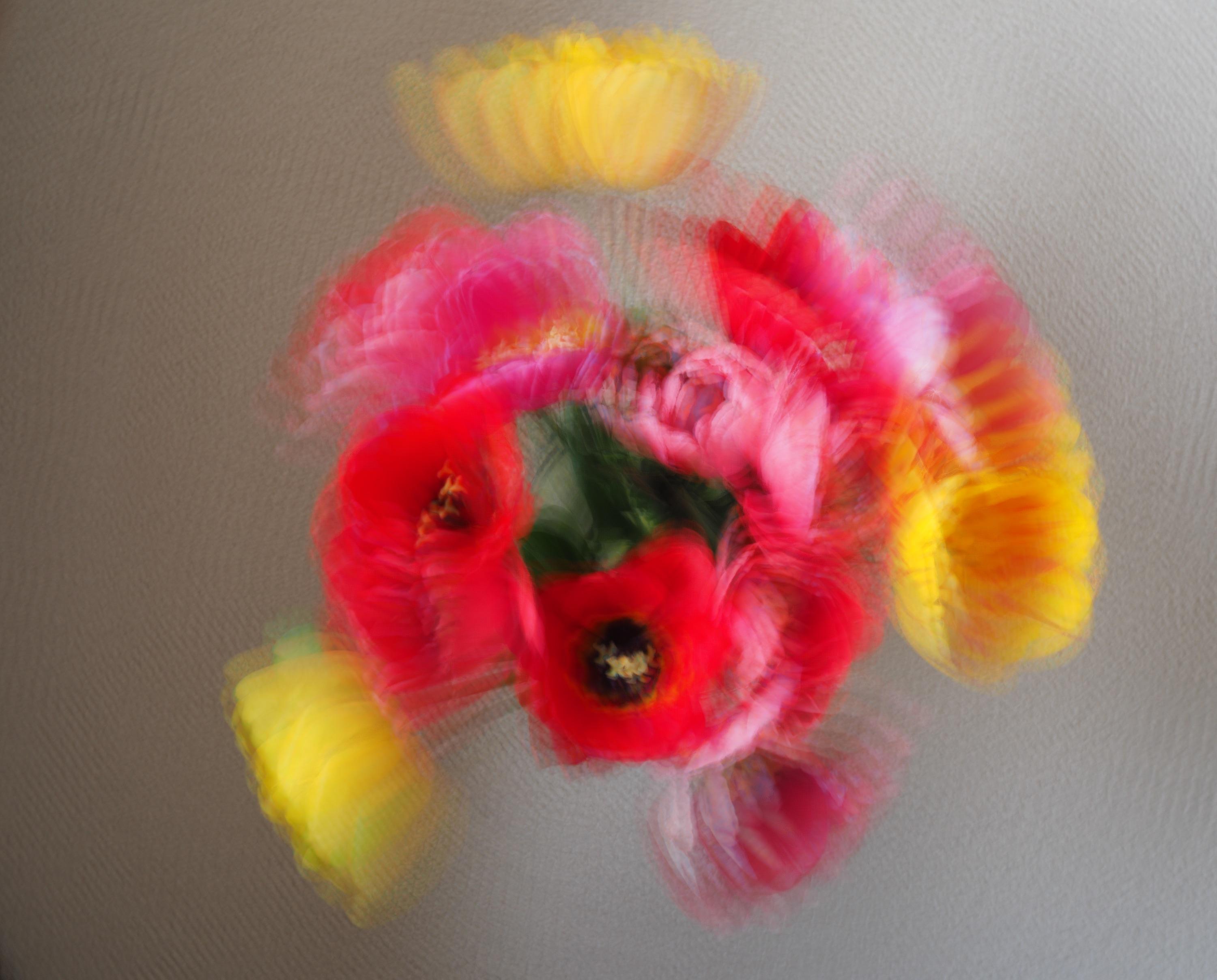 Tulpenblüte in Vase auf Boden, im Highres Modus aus der Hand, umrandet