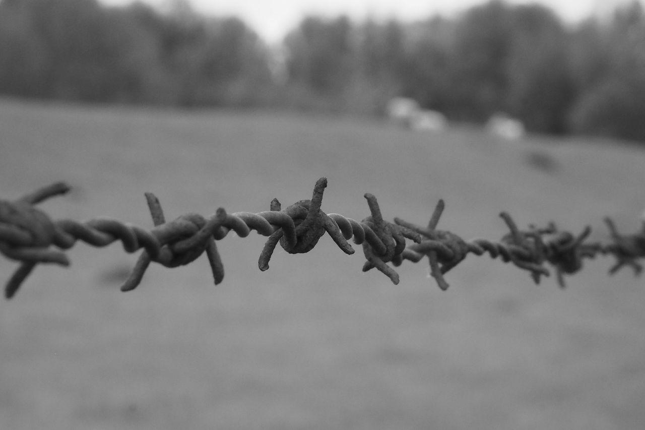 Bildstörung