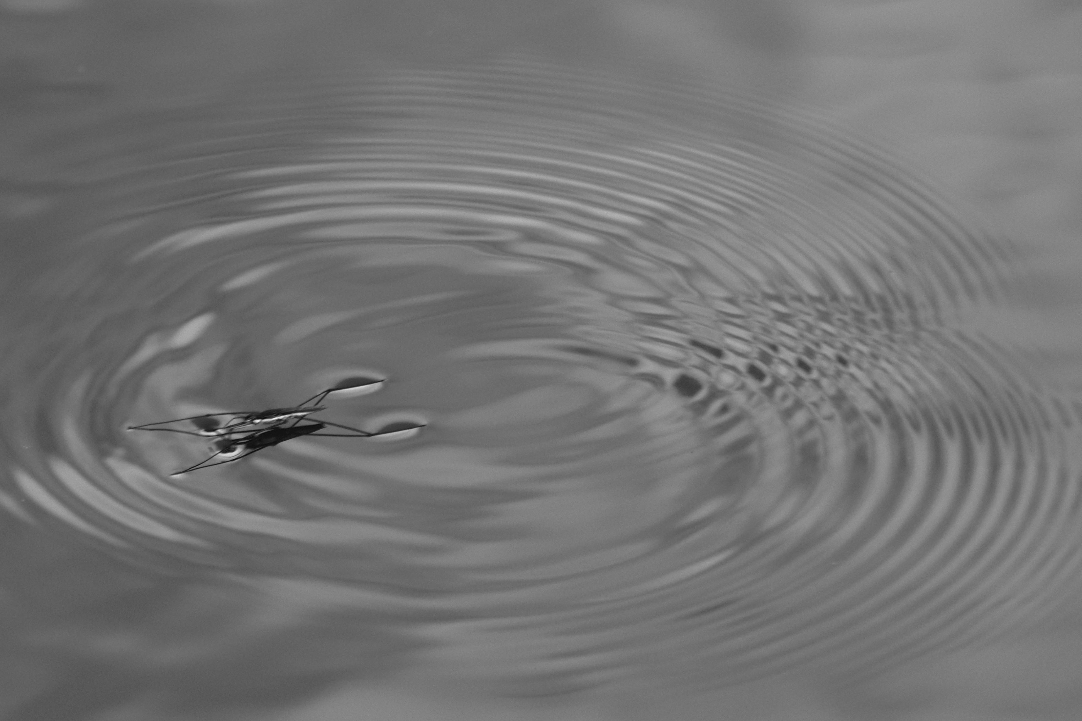Strukturen im Wasser