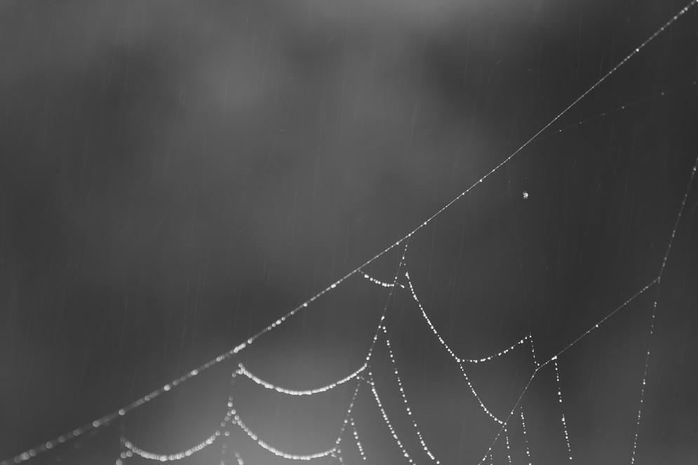 Wasser-Netz mit Zuschnitt