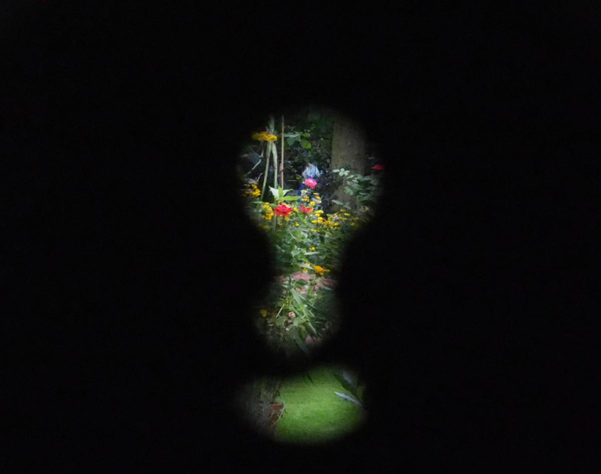 Durchblick in den Garten