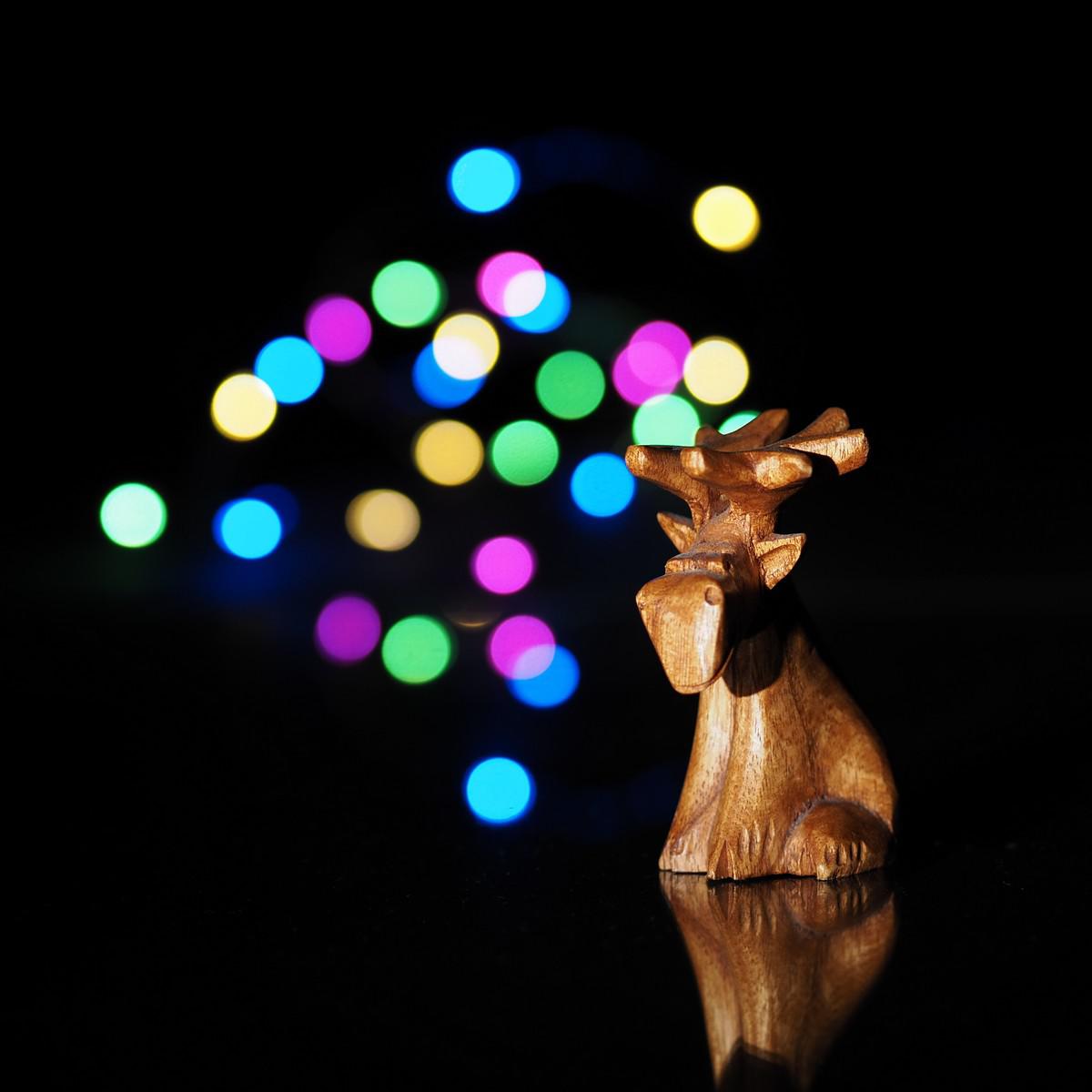 Elch mit LED's