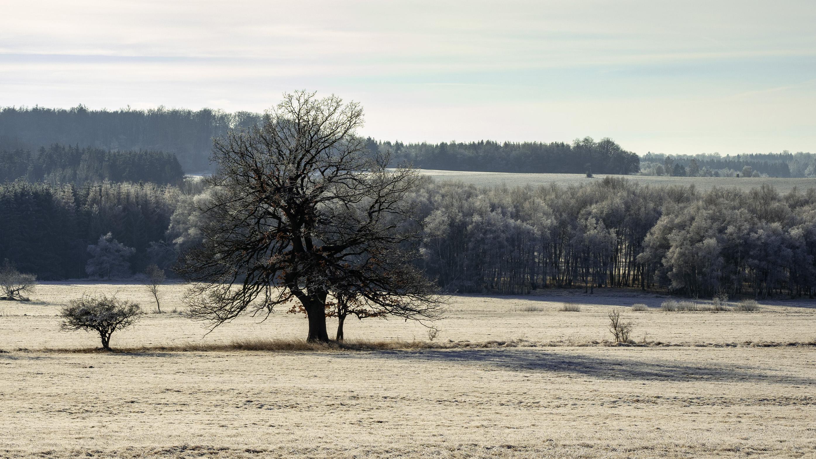 Irgedwo im Harz