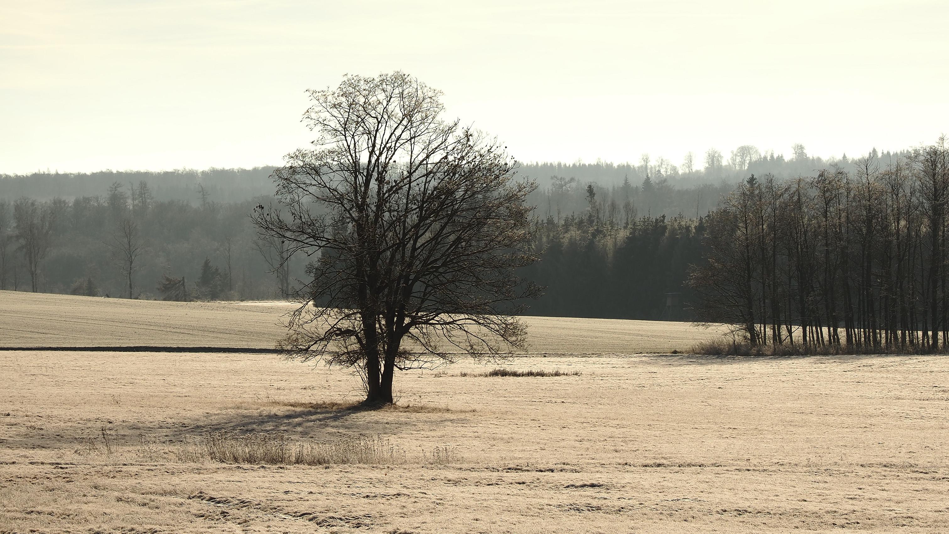 Harz Landschaft