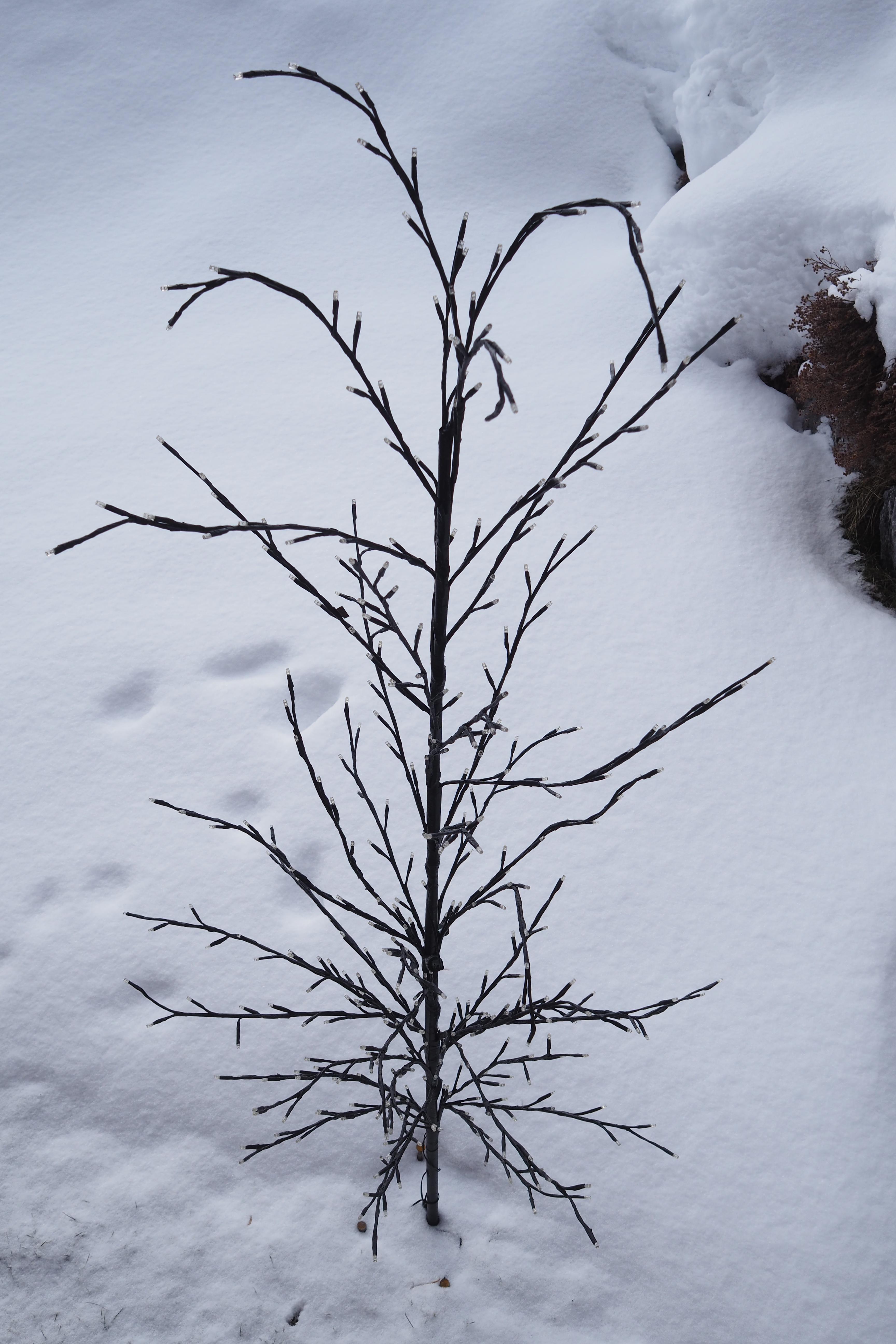 Technobaum, Pen-F, 17/1.8 @f/5.6, Exp +1