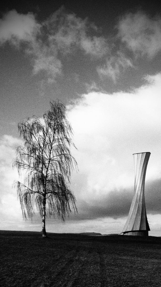 Turm an der Birke