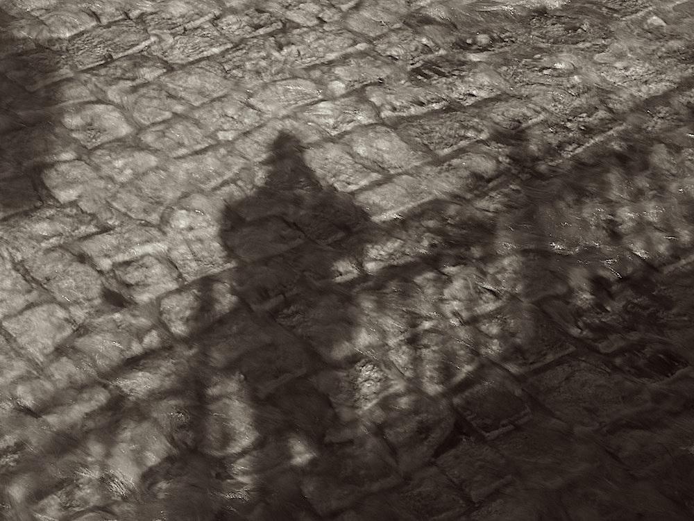 Schatten seiner Selbst-Portrait im Fluss