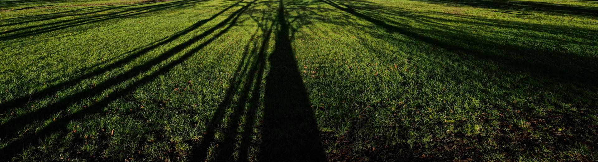 Licht-Schatten verändert
