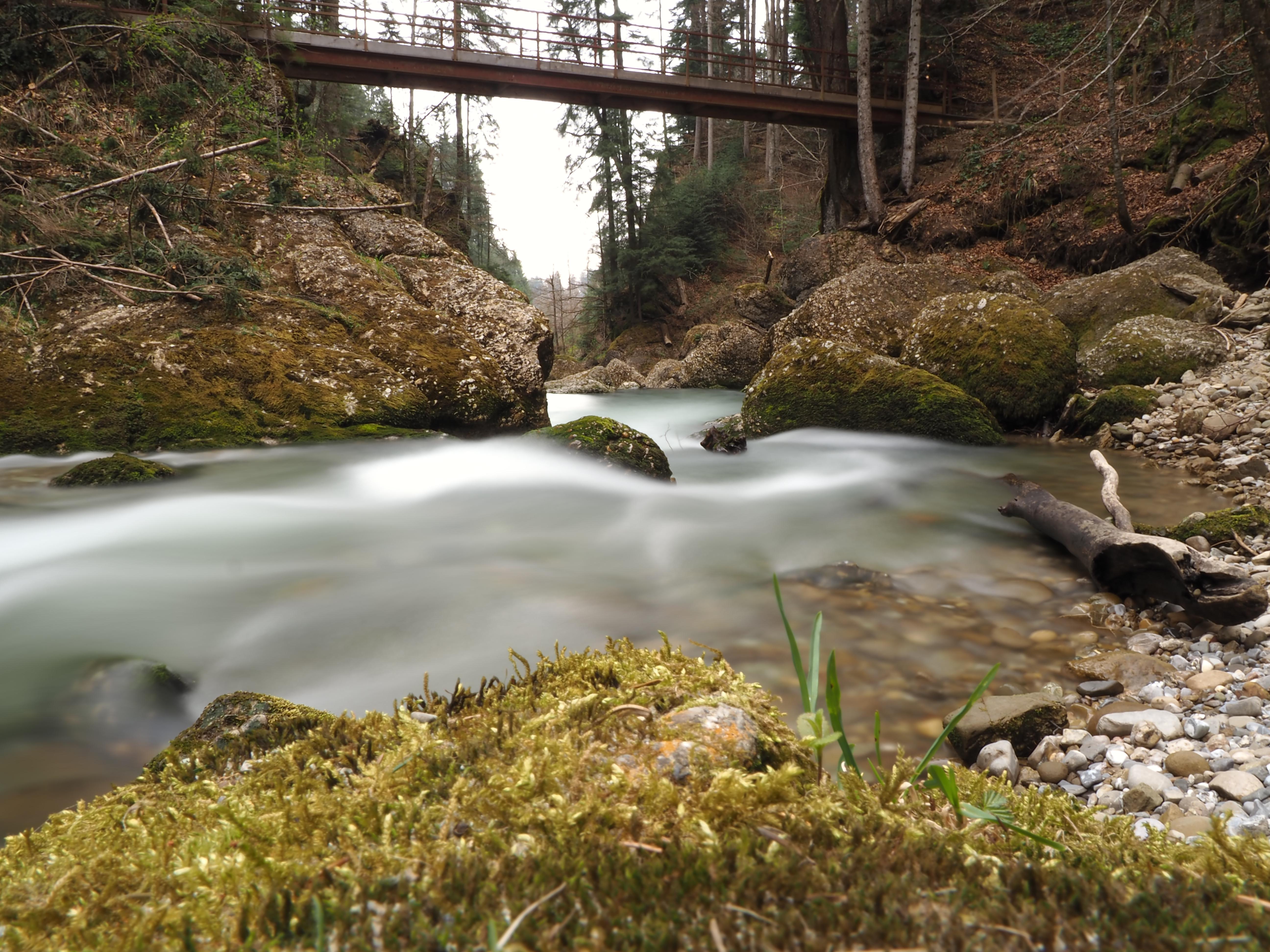 Wasserstroemung am Gunzensrieder Tobelweg