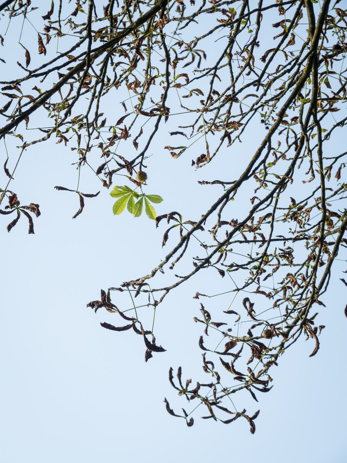 Herbst oder nicht - ich bleib