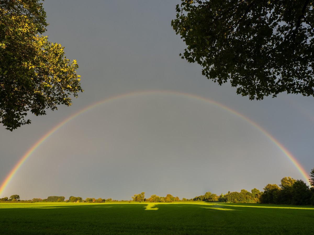 Regenbogen