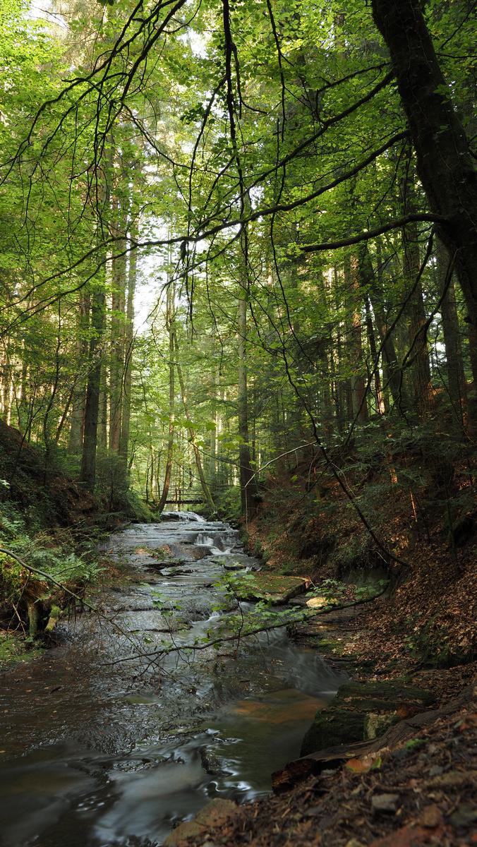 Strümpfelbachtal