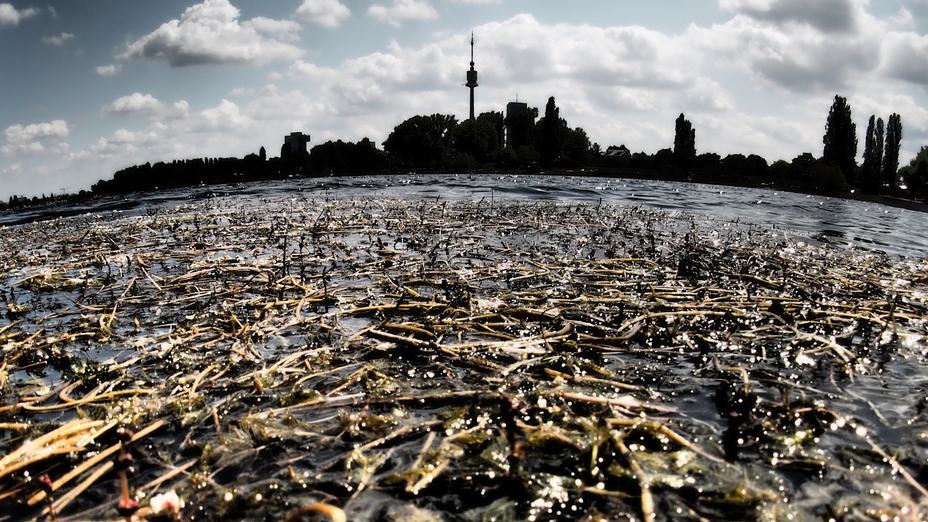 Bodennah Alte Donau 16:9