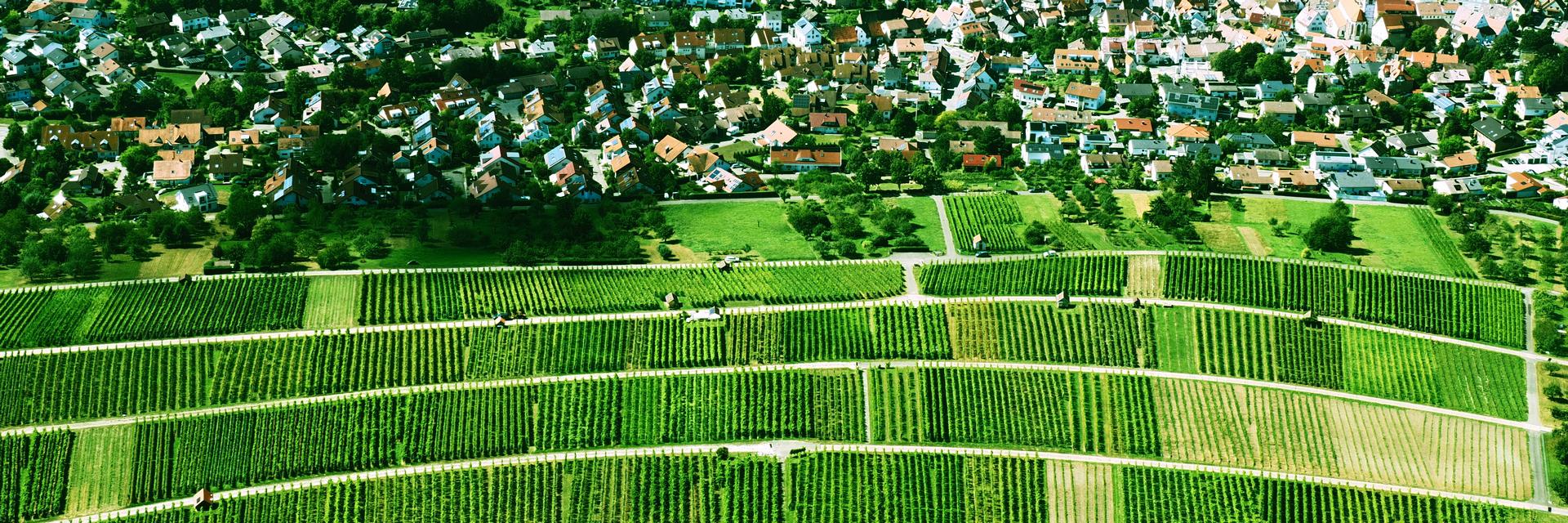 Neuffen aus der Festungsruine Hohenneuffen