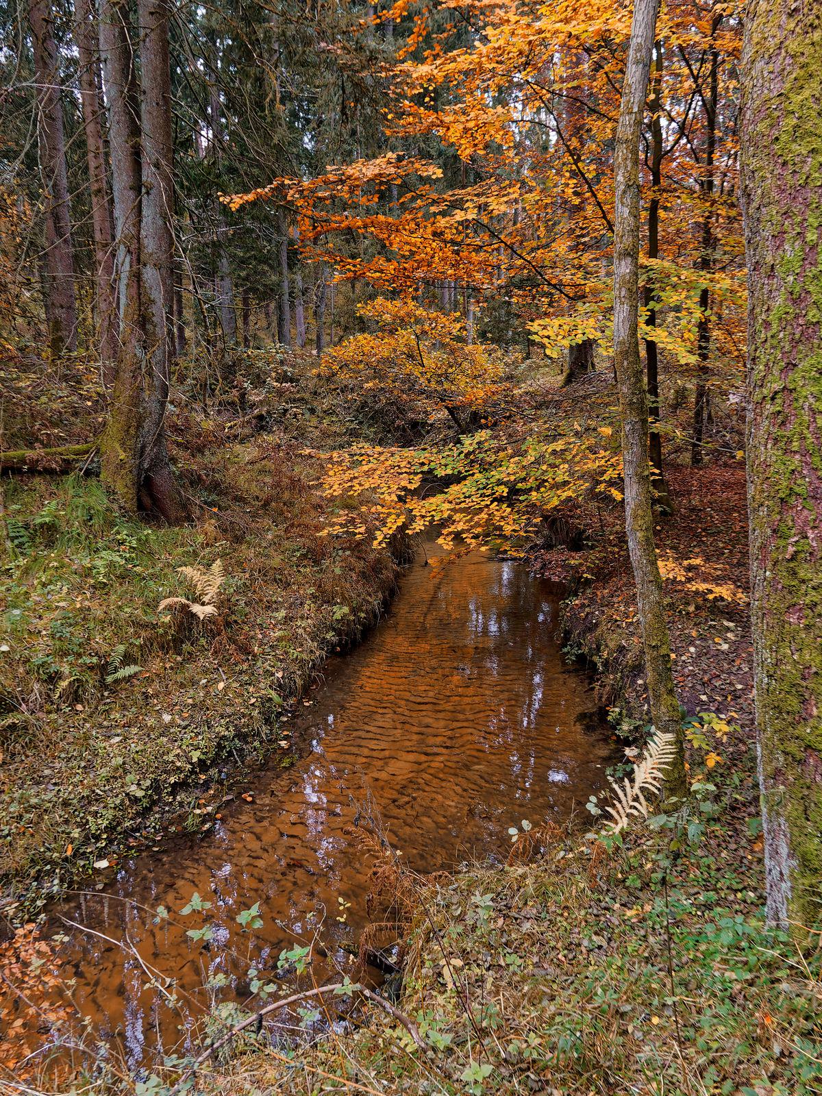 In der Röthenbachklamm