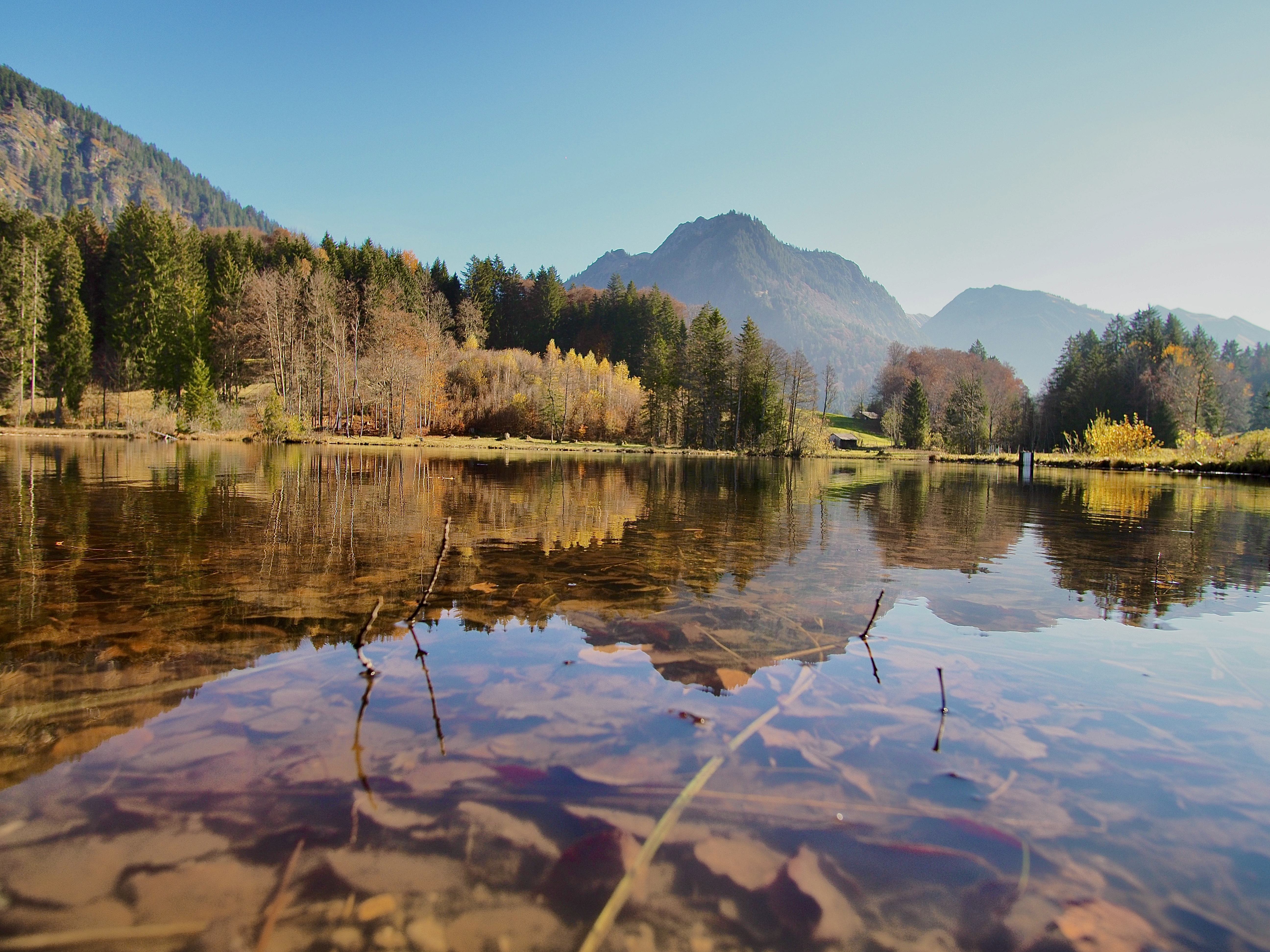 Am Moorweiher bei Oberstdorf